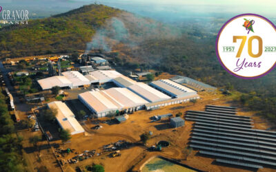 Granor Passi at 70: A Legacy Still Growing